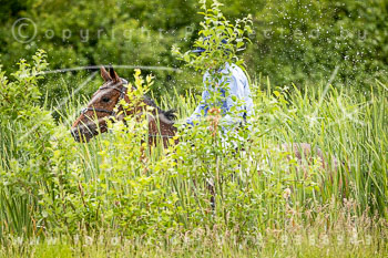 08 - Reesdorf Geländeritt A 1. Abteilung