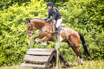 10 - Reesdorf Geländeritt L beide Abteilungen 10 - Reesdorf Geländeritt L beide Abteilungen