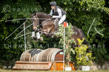 11 - Elmenhorst Geländepferdeprüfung A