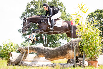 12 - Elmenhorst Geländepferdeprüfung L