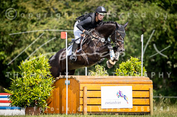 12 - Elmenhorst Geländepferdeprüfung L