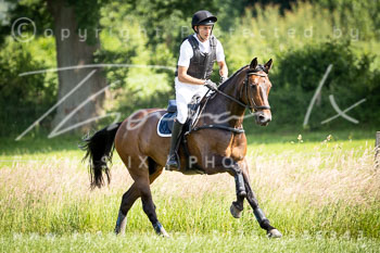 12 - Elmenhorst Geländepferdeprüfung L