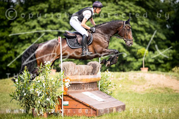12 - Elmenhorst Geländepferdeprüfung L