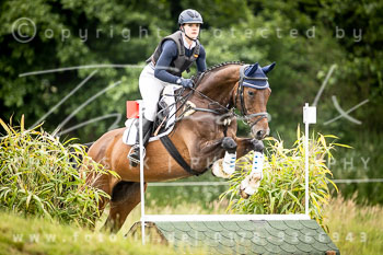 13 - Elmenhorst Stilgeländeritt A, 1. Abteilung