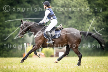 13 - Elmenhorst Stilgeländeritt A, 1. Abteilung