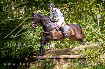19 - Luhmühlen CCI2*, Nummern 001-089 19 - Luhmühlen CCI2*, Nummern 001-089
