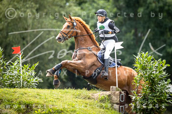 20 - Luhmühlen CCI2*, Nummern 090 - 179 20 - Luhmühlen CCI2*, Nummern 090 - 179