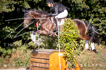 22 - Elmenhorst Geländepferdeprüfung L