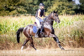 22 - Elmenhorst Geländepferdeprüfung L