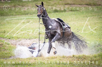 10 - Sahrendorf CCI3*