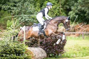 11 - Geländeritt E - Harburger Reitverein