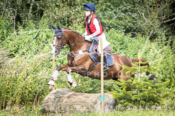 11 - Geländeritt E - Harburger Reitverein