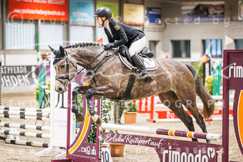 01 - Luhmühlen Springpferde A - Prüfung 01