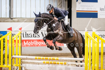 01 - Luhmühlen Springpferde A - Prüfung 01