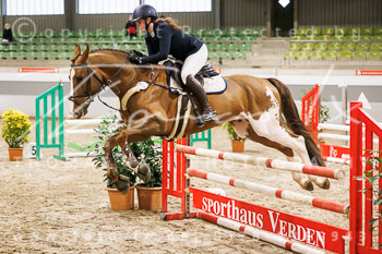 02 - Luhmühlen Springpferde A - Prüfung 02