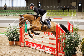 02 - Luhmühlen Springpferde A - Prüfung 02