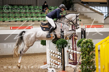 02 - Luhmühlen Springpferde A - Prüfung 02