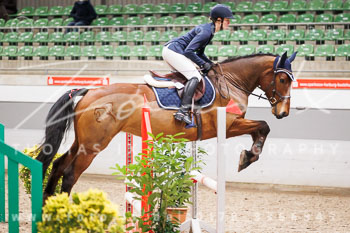 02 - Luhmühlen Springpferde A - Prüfung 02