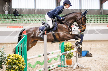 02 - Luhmühlen Springpferde A - Prüfung 02