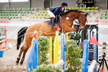 03 - Luhmühlen Springpferde A - Prüfung 03