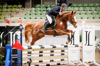 03 - Luhmühlen Springpferde A - Prüfung 03