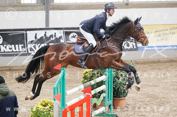 04 - Luhmühlen Springpferde L - Prüfung 04 04 - Luhmühlen Springpferde L - Prüfung 04