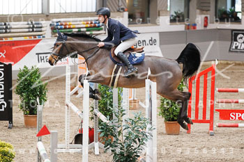 04 - Luhmühlen Springpferde L - Prüfung 04