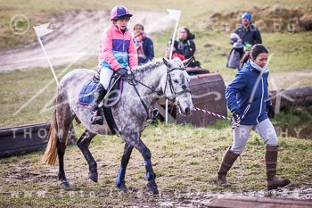 01 - Gelände Führzügel