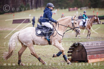 02 - Geländereiter Wettbewerb