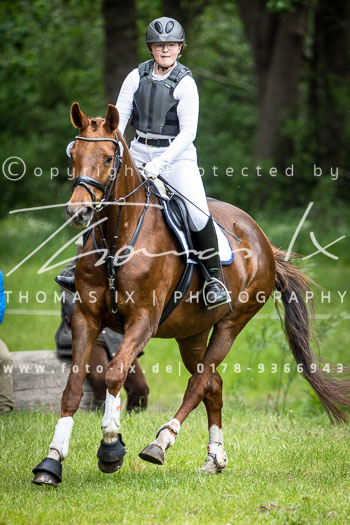02 - Reiter Wettbewerb