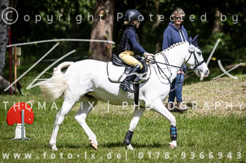 02 - Reiter Wettbewerb