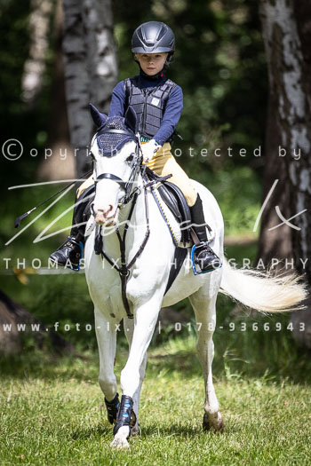 02 - Reiter Wettbewerb