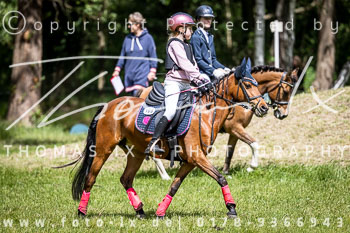 02 - Reiter Wettbewerb