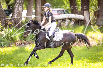 03 - Geländereiter Wettbewerb E