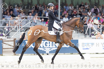 04 - Dressur CCI5*