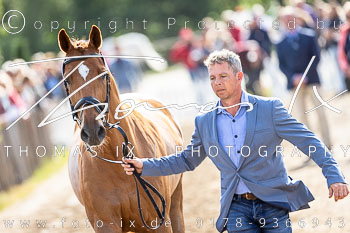 02 - Verfassungsprüfung CCI4*