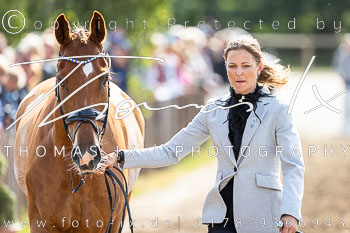 02 - Verfassungsprüfung CCI4*