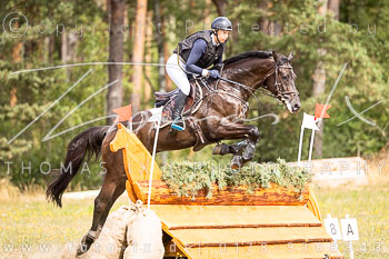 09 - Sahrendorf Geländepferde L