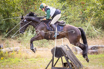 11 - Sahrendorf Gelände CCi2* 11 - Sahrendorf Gelände CCi2*