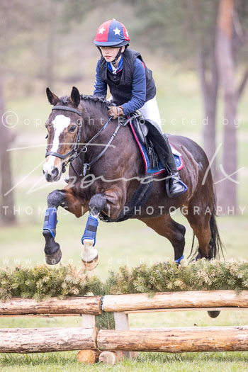 06 - Sahrendorf Geländereiter WB