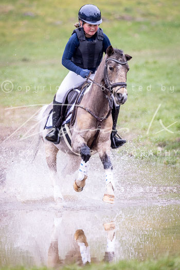 06 - Sahrendorf Geländereiter WB