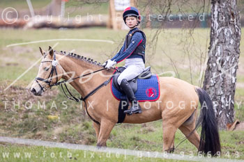 06 - Sahrendorf Geländereiter WB