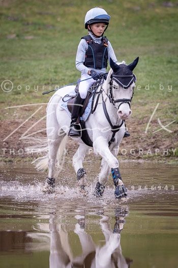 06 - Sahrendorf Geländereiter WB
