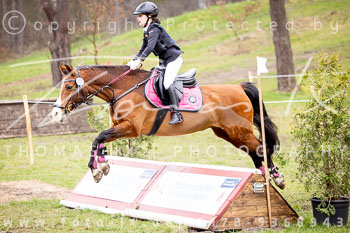 06 - Sahrendorf Geländereiter WB