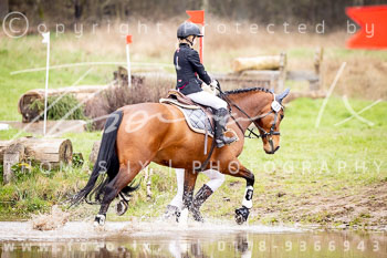 07 - Sahrendorf Gelände Führzügel WB