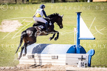 08 - Luhmühlen Gelände CCI1*-Intro