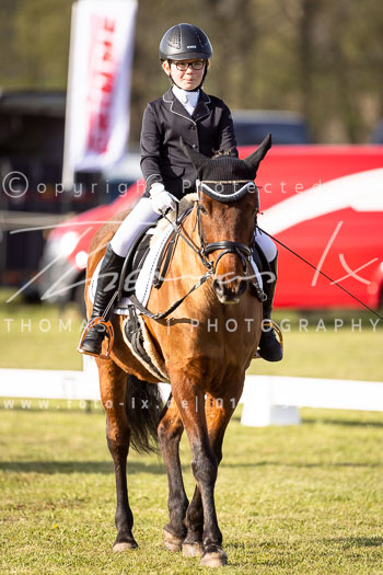 09 - Allenbostel Reiter WB Schritt Trab Galopp