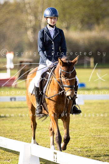 09 - Allenbostel Reiter WB Schritt Trab Galopp