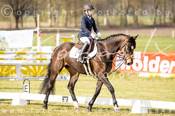 09 - Allenbostel Reiter WB Schritt Trab Galopp 09 - Allenbostel Reiter WB Schritt Trab Galopp