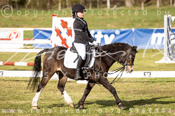 09 - Allenbostel Reiter WB Schritt Trab Galopp